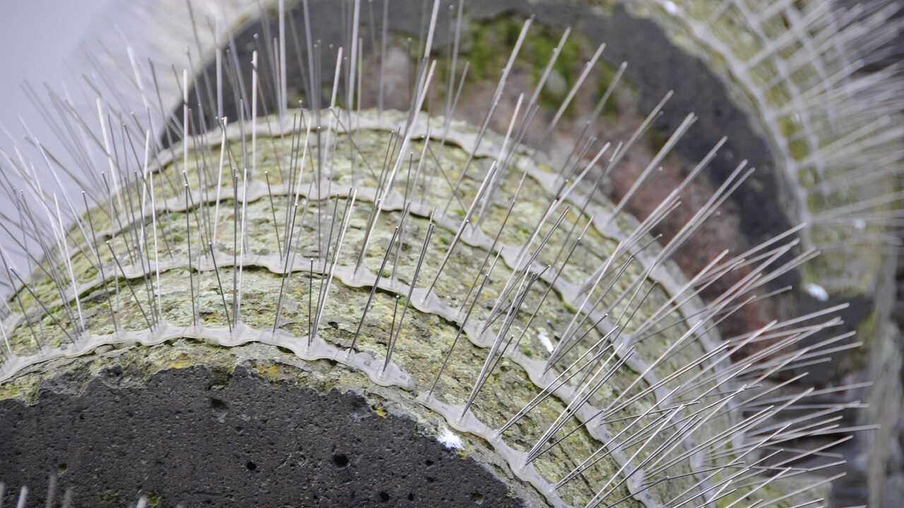 Spikes, zur Darstellung von Abwehrmaßnahmen gegen Tauben in der Stadt